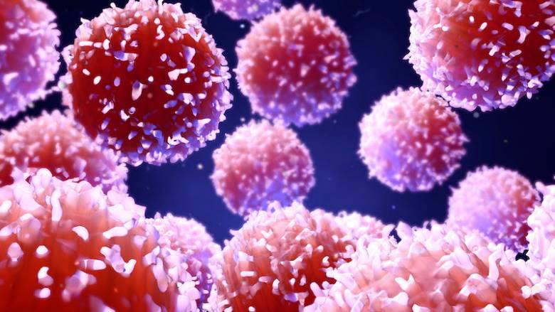 Penelitian Baru Mengoptimalkan Sistem Kekebalan Tubuh Untuk Melawan Kanker